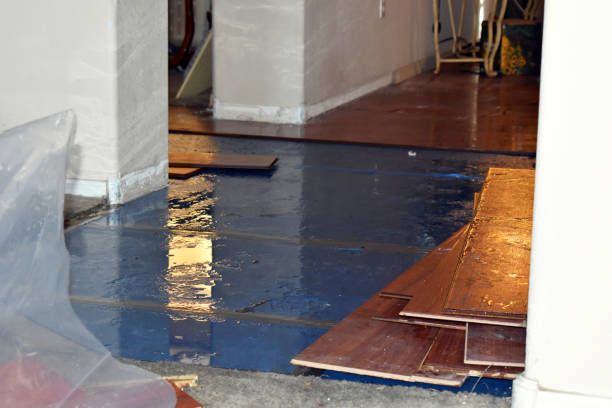Professional Water Extraction technician working in Cactus, TX